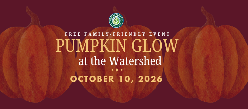 Pumpkin Glow 2025 at the Watershed Nature Center